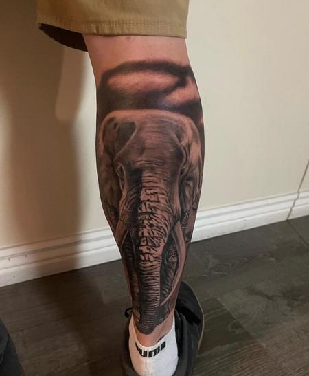 tattoos/ - Ryan Cumberledge Elephant - 144847